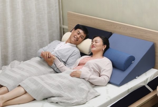 Winterthur Wedge Pillow Singapore SingaporeHomeFurniture