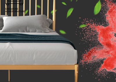 Binche Wrought Iron Bed Frame Singapore SingaporeHomeFurniture