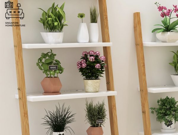 PIATRA® Ladder Shelf | Multiple Lengths Available | Different Designs | $ - Image 33