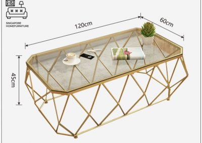 Leerdam Glass Coffee Table Singapore