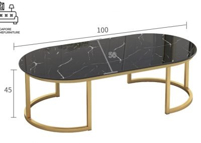 Montfoort Glass Coffee Table Singapore