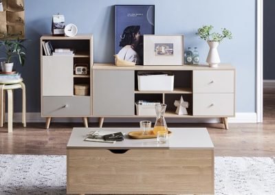 Echt Coffee Table with Storage Singapore SingaporeHomeFurniture