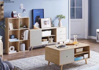 Echt Coffee Table with Storage Singapore SingaporeHomeFurniture