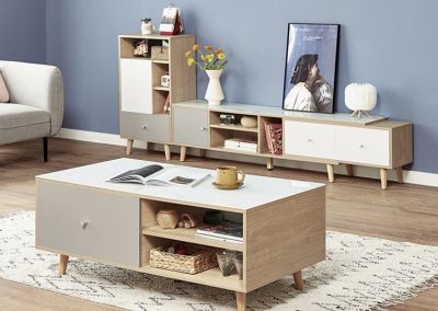 Echt Coffee Table with Storage Singapore SingaporeHomeFurniture