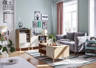 Echt Coffee Table with Storage Singapore SingaporeHomeFurniture