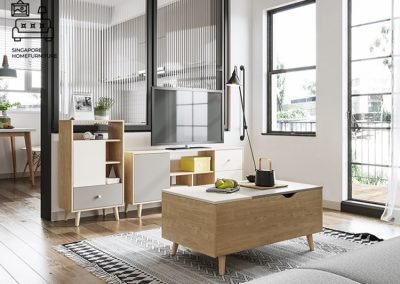 Echt Coffee Table with Storage Singapore SingaporeHomeFurniture