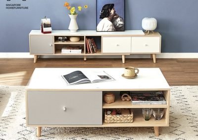 Echt Coffee Table with Storage Singapore SingaporeHomeFurniture