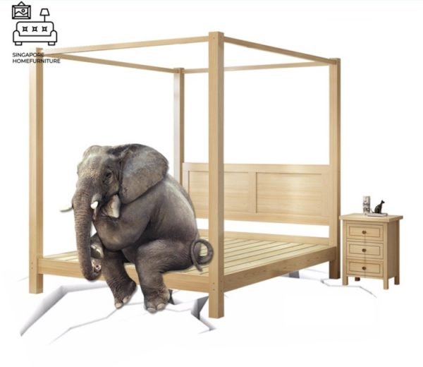 Tubize Canopy Bed Frame Singapore SingaporeHomeFurniture