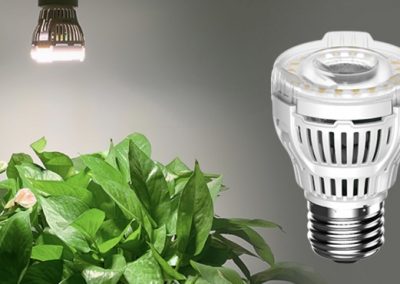 Imatra Grow Lights Singapore SingaporeHomeFurniture