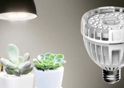 Imatra Grow Lights Singapore SingaporeHomeFurniture