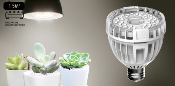 Imatra Grow Lights Singapore SingaporeHomeFurniture
