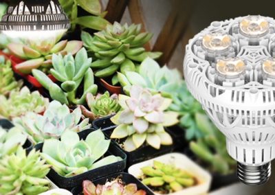 Imatra Grow Lights Singapore SingaporeHomeFurniture
