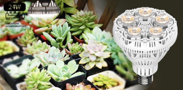 Imatra Grow Lights Singapore SingaporeHomeFurniture
