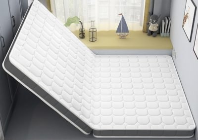 Jonova Coconut Fibre Mattress Singapore SingaporeHomeFurniture
