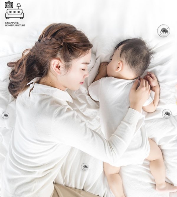 Jonova Coconut Fibre Mattress Singapore SingaporeHomeFurniture