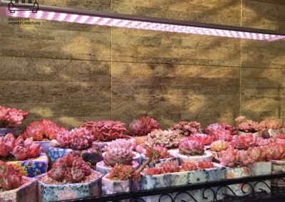 Kemi Grow Lights Singapore SingaporeHomeFurniture