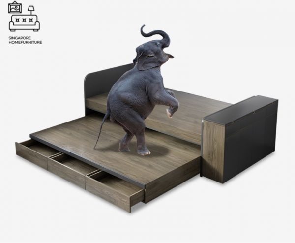 NINOVE® Black Pull Out Bed Frame | Normal Bed & Pull Out Bed Available | 1 Sizes: Small Double | Option: Mattress, Table | $$$ - Image 11