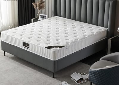 Plunge Coconut Fibre Mattress Singapore SingaporeHomeFurniture