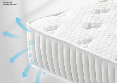 Plunge Coconut Fibre Mattress Singapore SingaporeHomeFurniture
