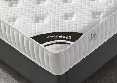 Plunge Coconut Fibre Mattress Singapore SingaporeHomeFurniture