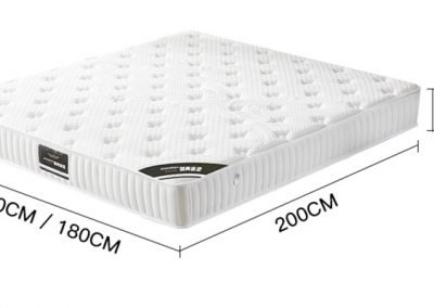 Plunge Coconut Fibre Mattress Singapore SingaporeHomeFurniture