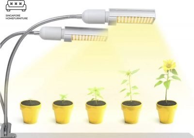 Raahe Grow Lights Singapore SingaporeHomeFurniture