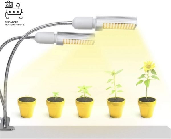 Raahe Grow Lights Singapore SingaporeHomeFurniture