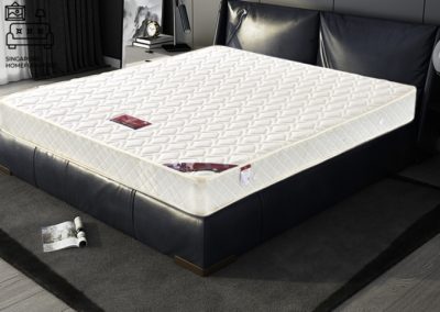 Taurage Coconut Fibre Mattress Singapore SingaporeHomeFurniture