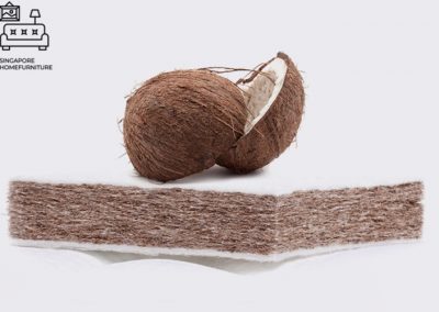 Taurage Coconut Fibre Mattress Singapore SingaporeHomeFurniture