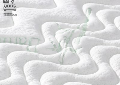 Utena Coconut Fibre Mattress Singapore SingaporeHomeFurniture
