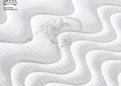 Utena Coconut Fibre Mattress Singapore SingaporeHomeFurniture