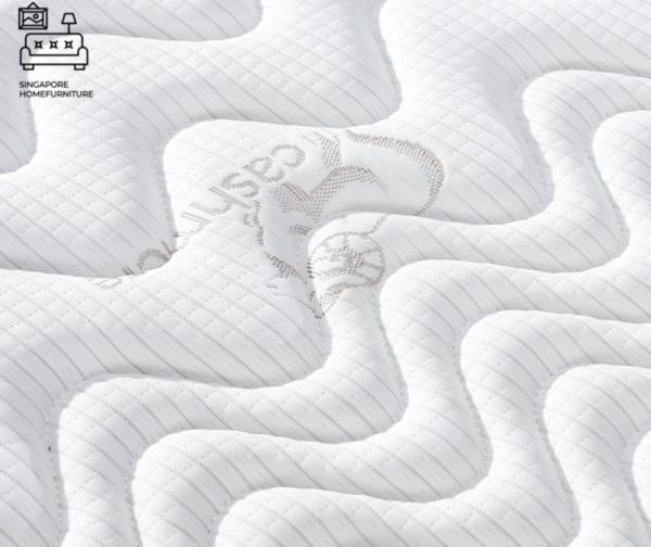 Utena Coconut Fibre Mattress Singapore SingaporeHomeFurniture