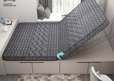 Utena Coconut Fibre Mattress Singapore SingaporeHomeFurniture