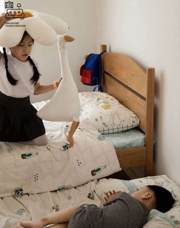 VISE® Pull Out Bed Frame | Normal Bed & Pull Out Bed Available | 2 Sizes: Twin, Small Double | Option: Mattress | $$ - Image 5