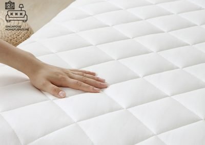 Zarasai Japanese Mattress Singapore Futon Mattress Singapore SingaporeHomeFurniture