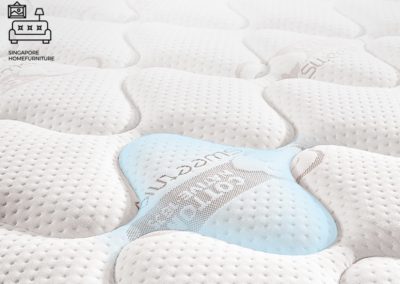 Ignalina Hybrid Mattress Singapore SingaporeHomeFurniiture