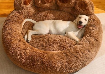 Ans Dog Bed Singapore Pet Bed Singapore SingaporeHomeFurniture