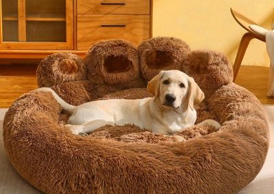 Ans Dog Bed Singapore Pet Bed Singapore SingaporeHomeFurniture