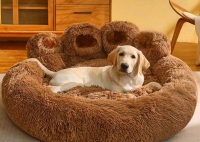 Ans Dog Bed Singapore Pet Bed Singapore SingaporeHomeFurniture
