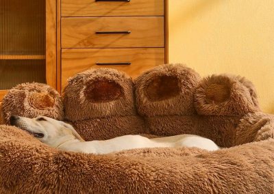 Ans Dog Bed Singapore Pet Bed Singapore SingaporeHomeFurniture