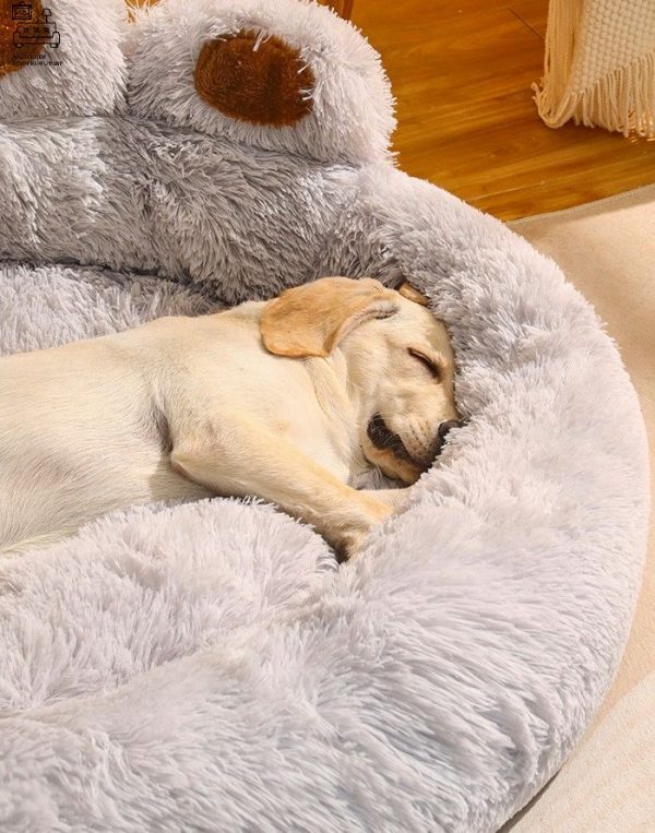 Ans Dog Bed Singapore Pet Bed Singapore SingaporeHomeFurniture