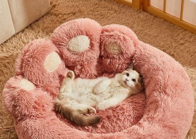 Ans Dog Bed Singapore Pet Bed Singapore SingaporeHomeFurniture