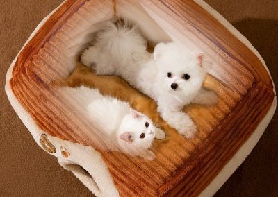 Beaumont Dog Bed Singapore Pet Bed Singapore SingaporeHomeFurniture