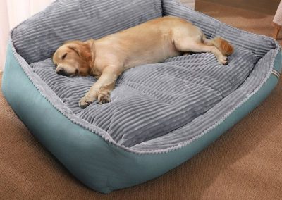 Ciney Dog Bed Singapore Pet Bed Singapore SingaporeHomeFurniture