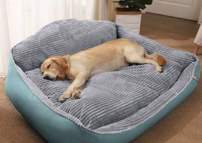 Ciney Dog Bed Singapore Pet Bed Singapore SingaporeHomeFurniture
