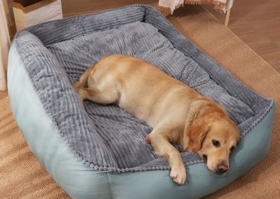 Ciney Dog Bed Singapore Pet Bed Singapore SingaporeHomeFurniture