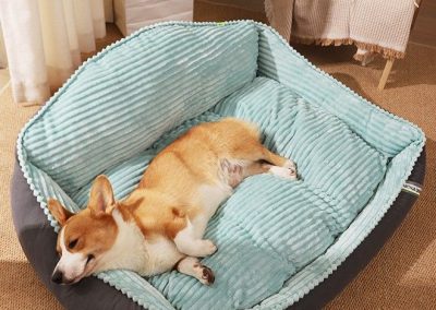Ciney Dog Bed Singapore Pet Bed Singapore SingaporeHomeFurniture