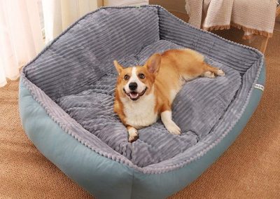 Ciney Dog Bed Singapore Pet Bed Singapore SingaporeHomeFurniture