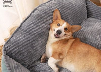 Ciney Dog Bed Singapore Pet Bed Singapore SingaporeHomeFurniture