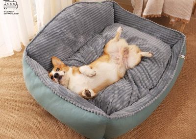 Ciney Dog Bed Singapore Pet Bed Singapore SingaporeHomeFurniture